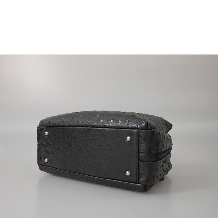 /オーストリッチハンドバッグ//Aランク/76