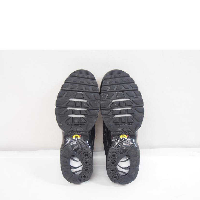 NIKE ナイキ/NIKE AIRMAX PLUS/604133-050//ABランク/71