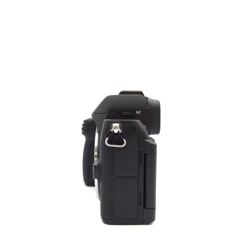 NIKON NIKON/Z50Ⅱボディ/Z50Ⅱ//2011212/Aランク/04