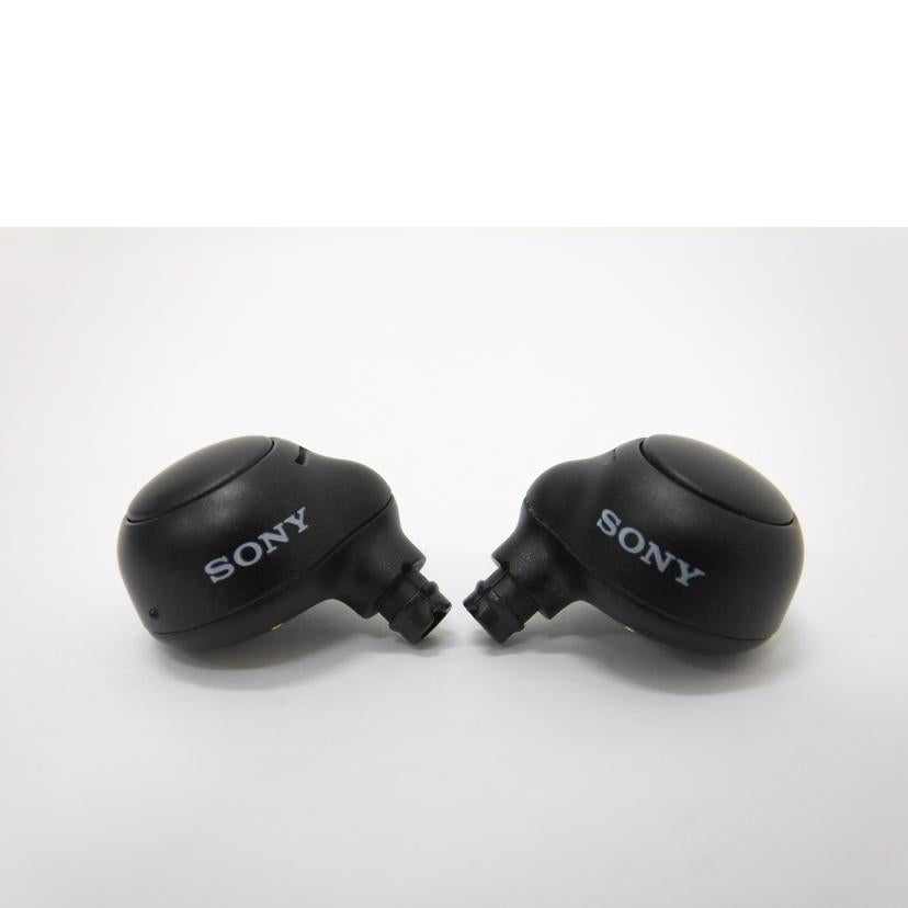 SONY ソニー/ワイヤレスイヤフォン/WF-C500/WF-C500//1196820/Bランク/88