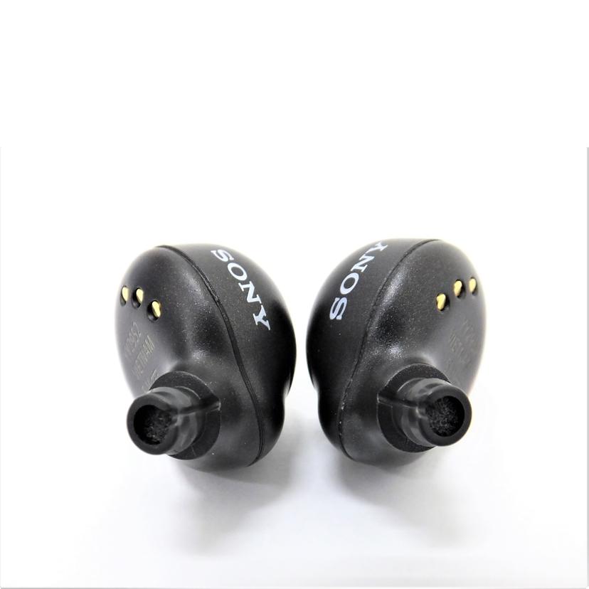 SONY ソニー/ワイヤレスイヤフォン/WF-C500/WF-C500//1196820/Bランク/88