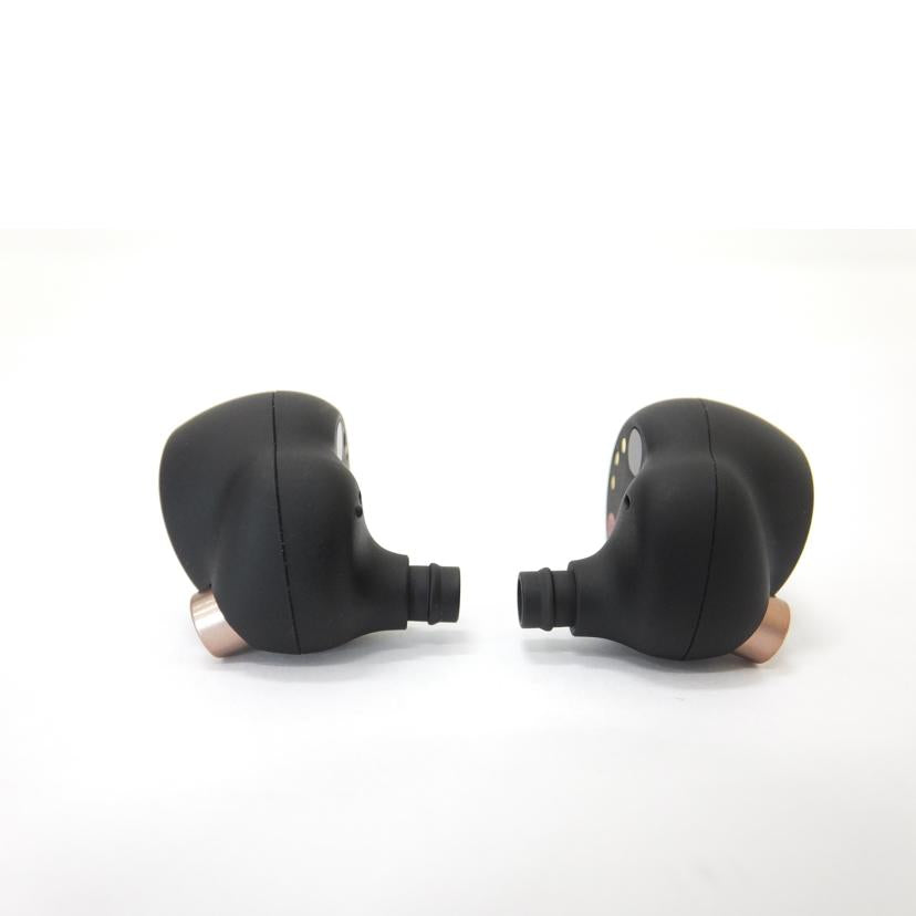 SONY ソニー/ワイヤレスイヤフォン/WF-1000XM4/WF-1000XM4//6128828/ABランク/88