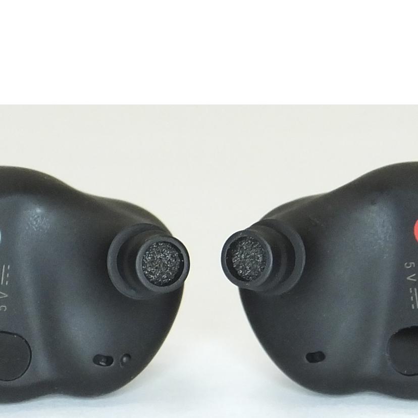 SONY ソニー/ワイヤレスイヤフォン/WF-1000XM4/WF-1000XM4//6128828/ABランク/88