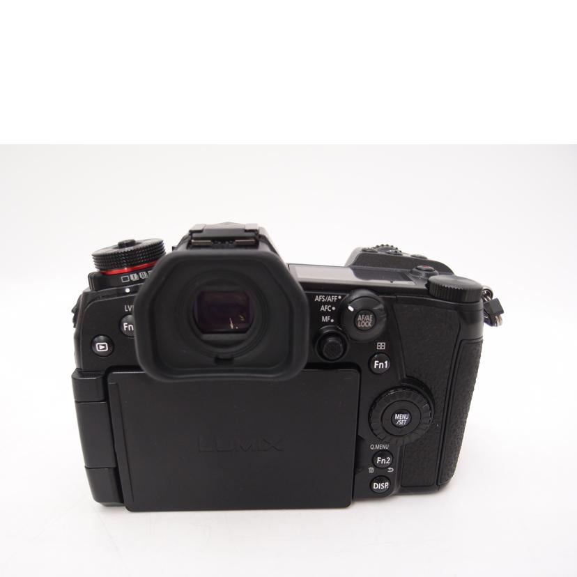 Panasonic パナソニック/LUMIX DC-G9 PRO/ミラーレス一眼/LUMIX DC-G9 PRO//WE8AA004164/Aランク/69