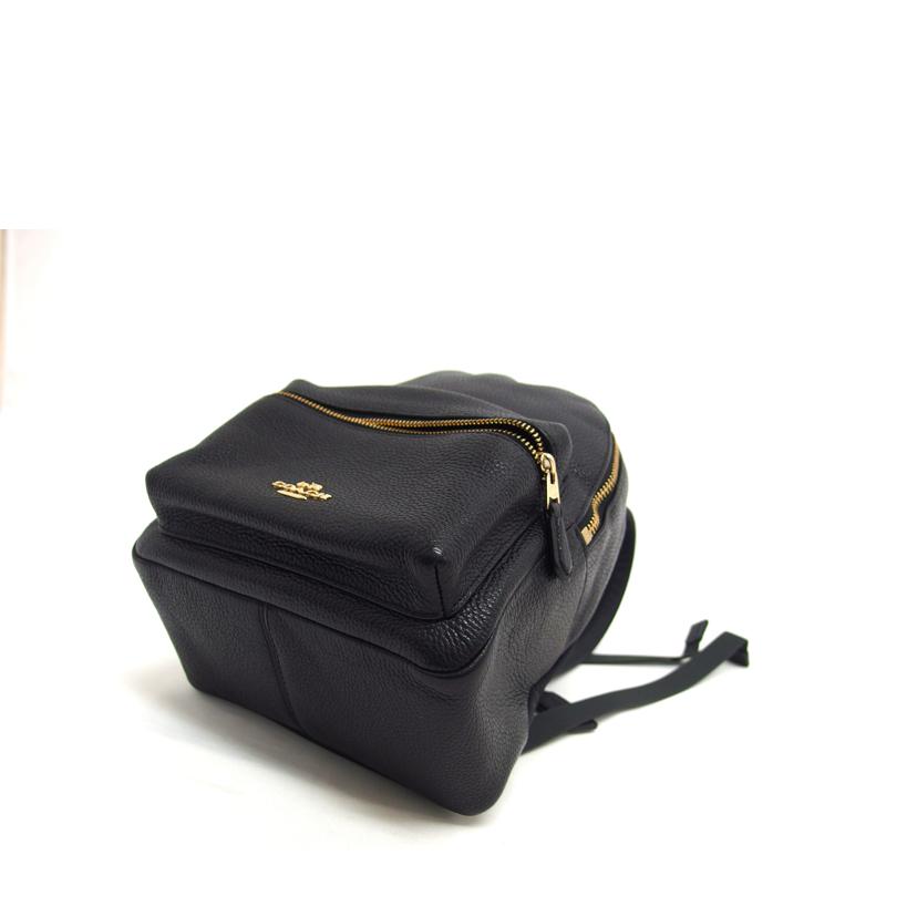 COACH コーチ/レザー チャーリーミニバックパック/ブラック/F38263//E17**/ABランク/04