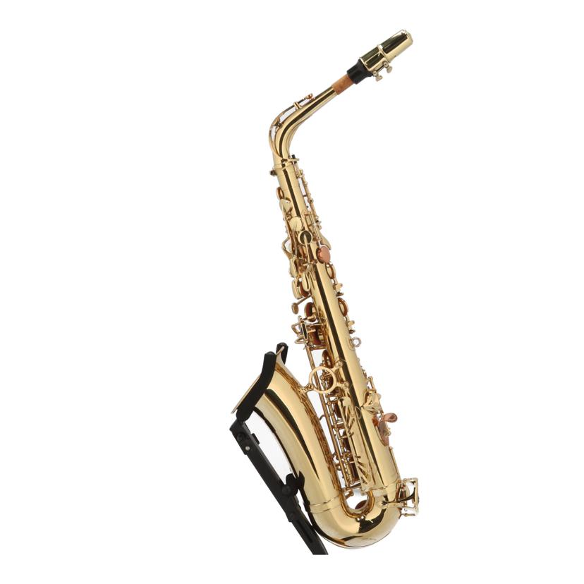 Yanagisawa ヤナギサワ/アルトサックス/A901//00235317/Bランク/76