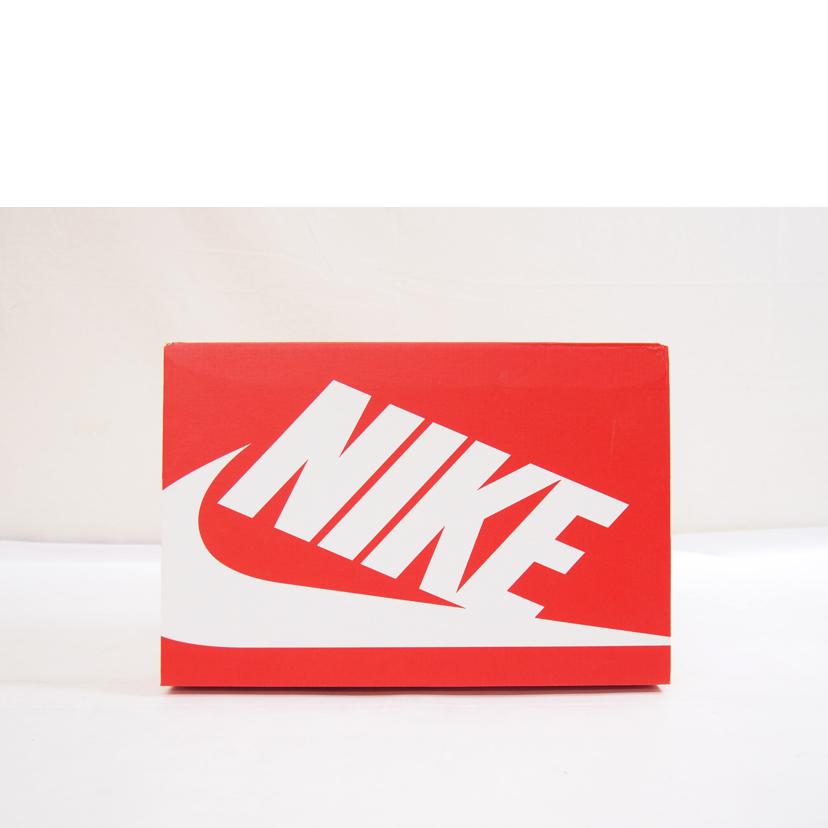 NIKE ナイキ/NIKE AIR MAX 95 Big Bubble /HM4740-007//Sランク/71