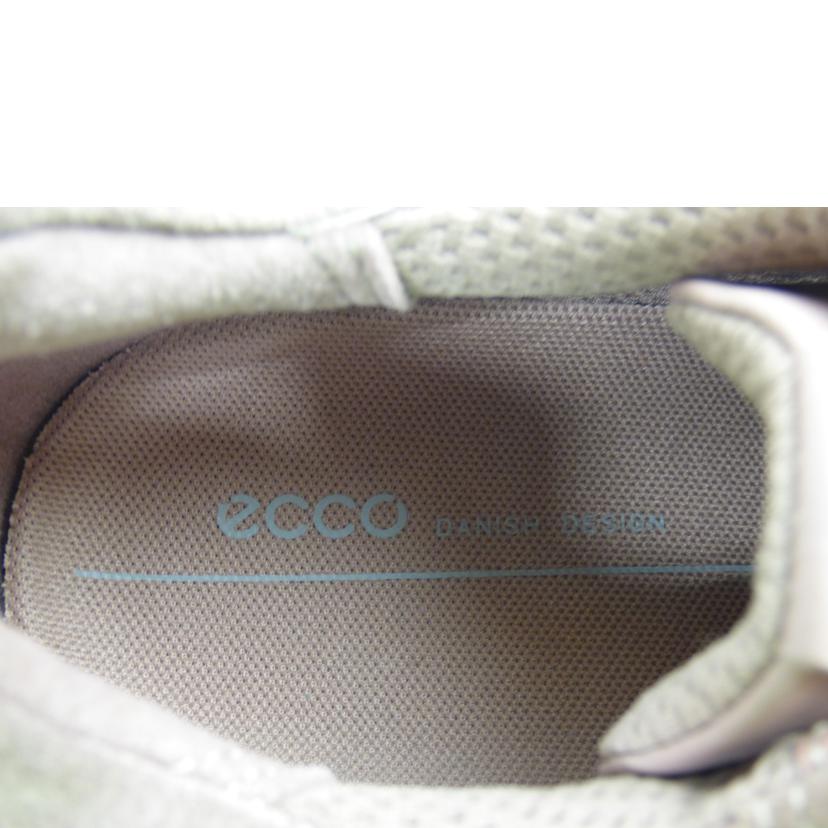 ecco エコー/SOFT X W WOODROSE/42040356878//Aランク/64