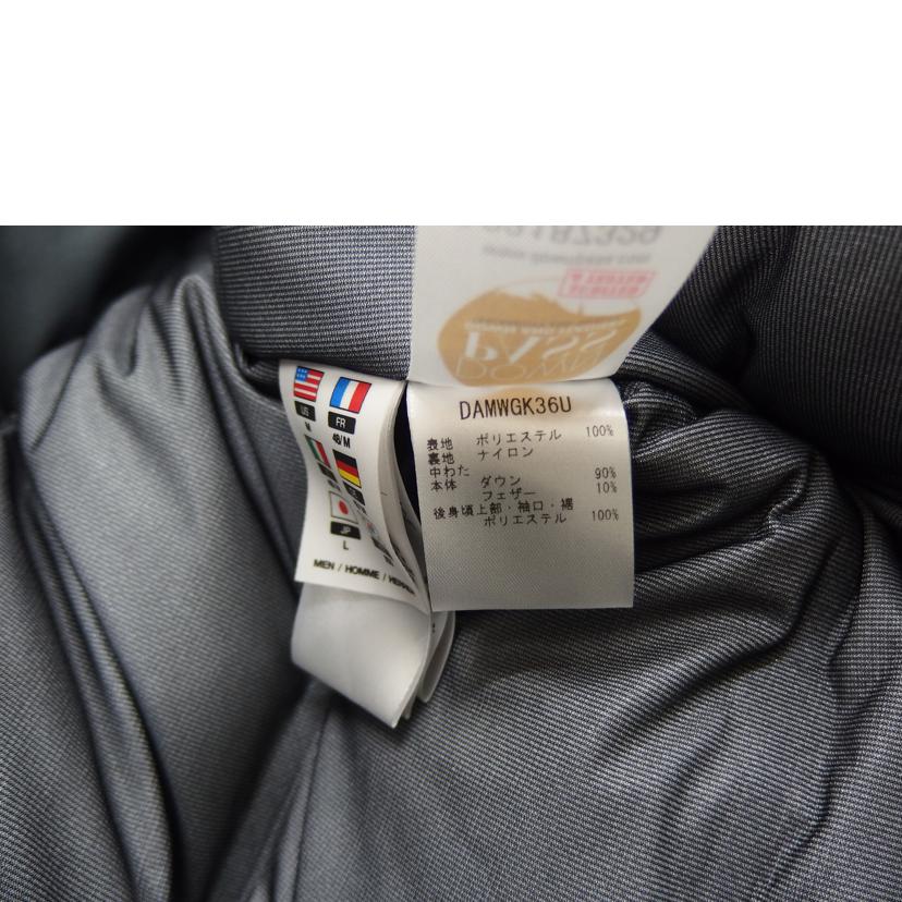 DESCENTE ALLTERRAIN デサントオルテライン/水沢ダウン/INVISIBLE05/DAMWGK36U//Aランク/82