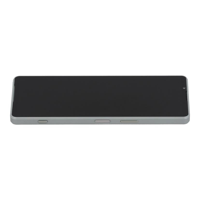 SONY docomo ソニー /スマートフォン/Xperia 1 IV 256GB/SO-51C//QV771N1BCD/Bランク/78