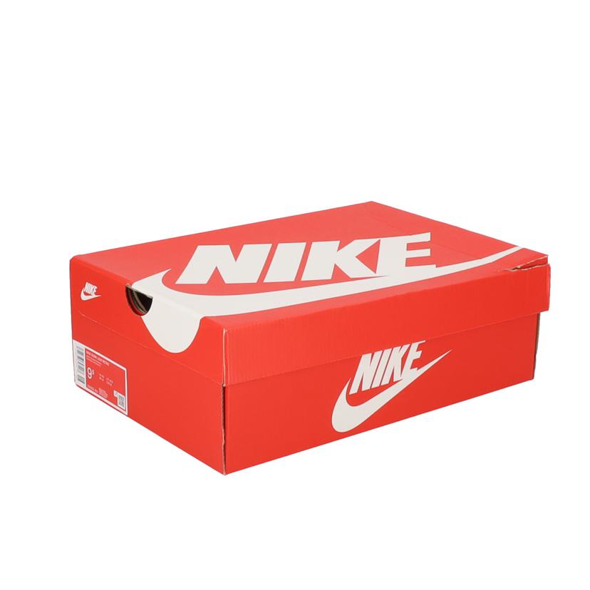 nike ナイキ/ダンクロー レトロ/DV0833-800//Aランク/93