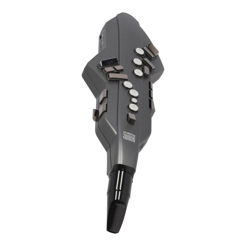 Roland ローランド /エアロフォン/Aerophone GO/AE-05//A6L6072/ABランク/05