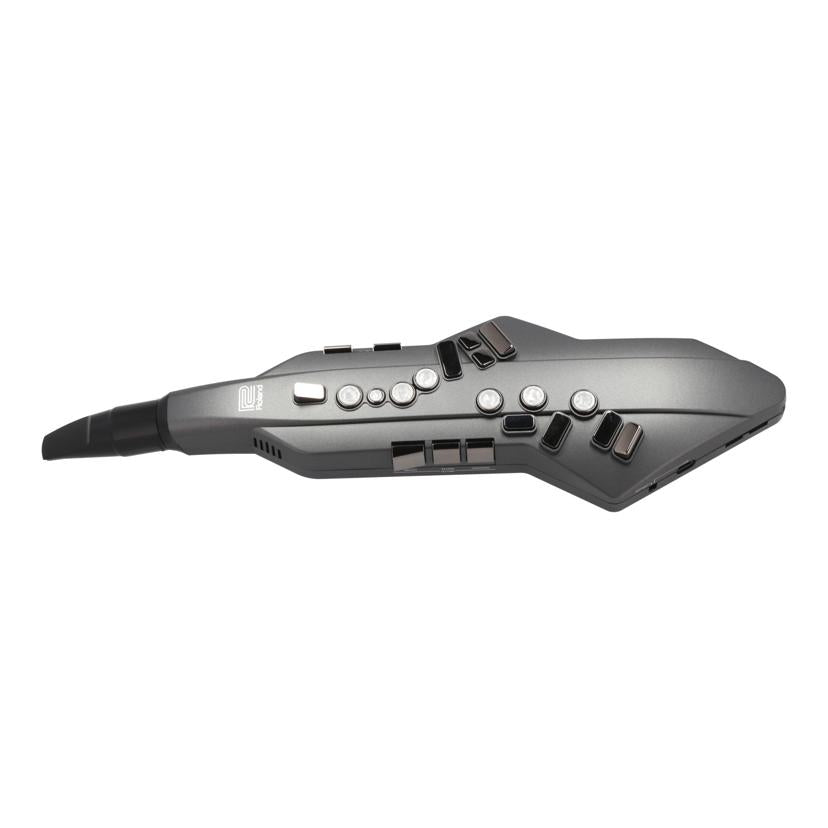 Roland ローランド /エアロフォン/Aerophone GO/AE-05//A6L6072/ABランク/05