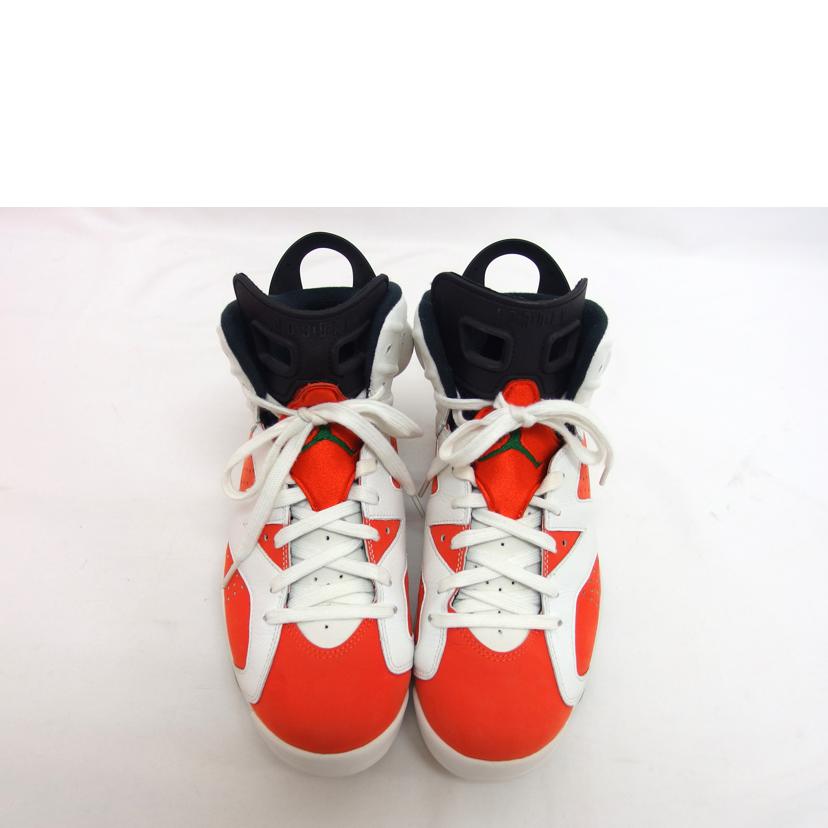 NIKE ナイキ/AIR JORDAN 6 RETRO/26.5cm/384664-145//ABランク/04