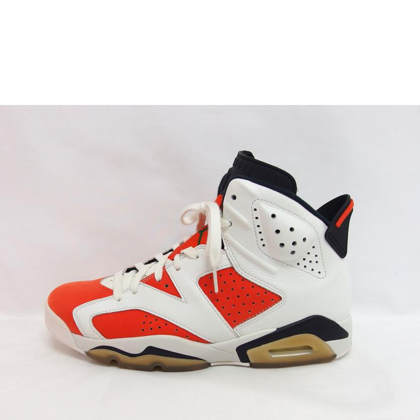 NIKE ナイキ/AIR JORDAN 6 RETRO/26.5cm/384664-145//ABランク/04