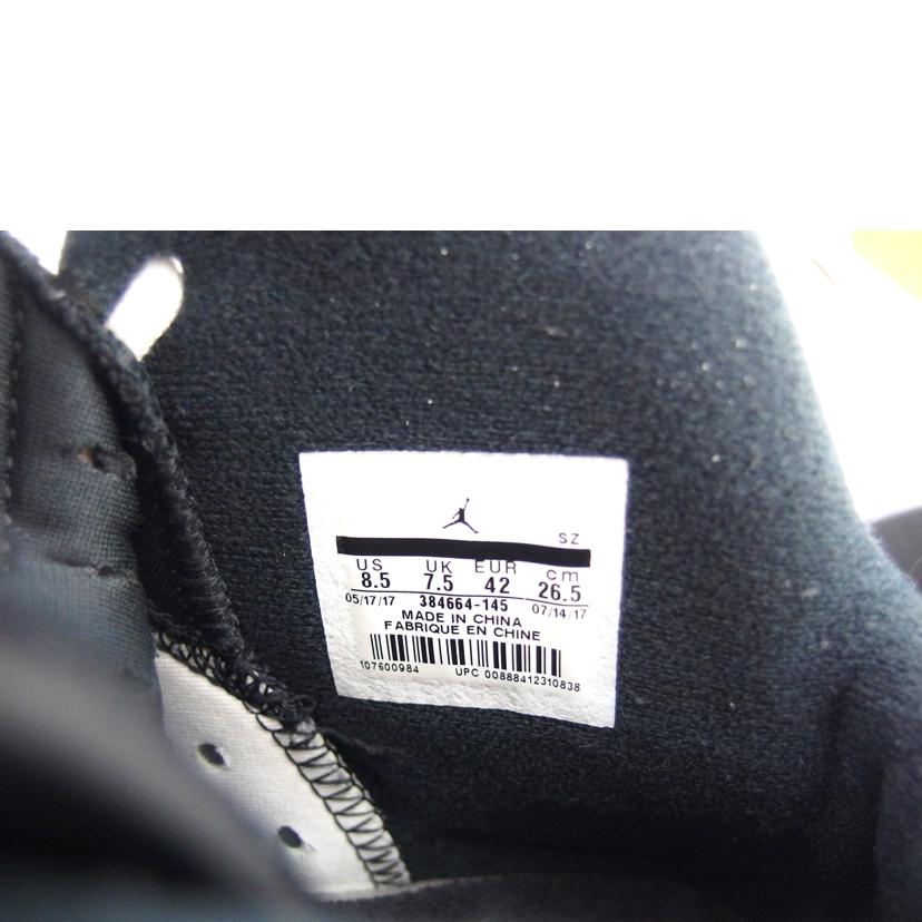 NIKE ナイキ/AIR JORDAN 6 RETRO/26.5cm/384664-145//ABランク/04