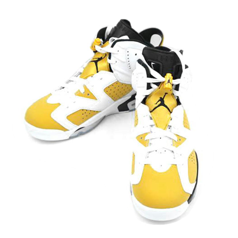 NIKE ナイキ/NIKE AIR JORDAN 6 RETRO 27.0/CT8529-170//Aランク/67
