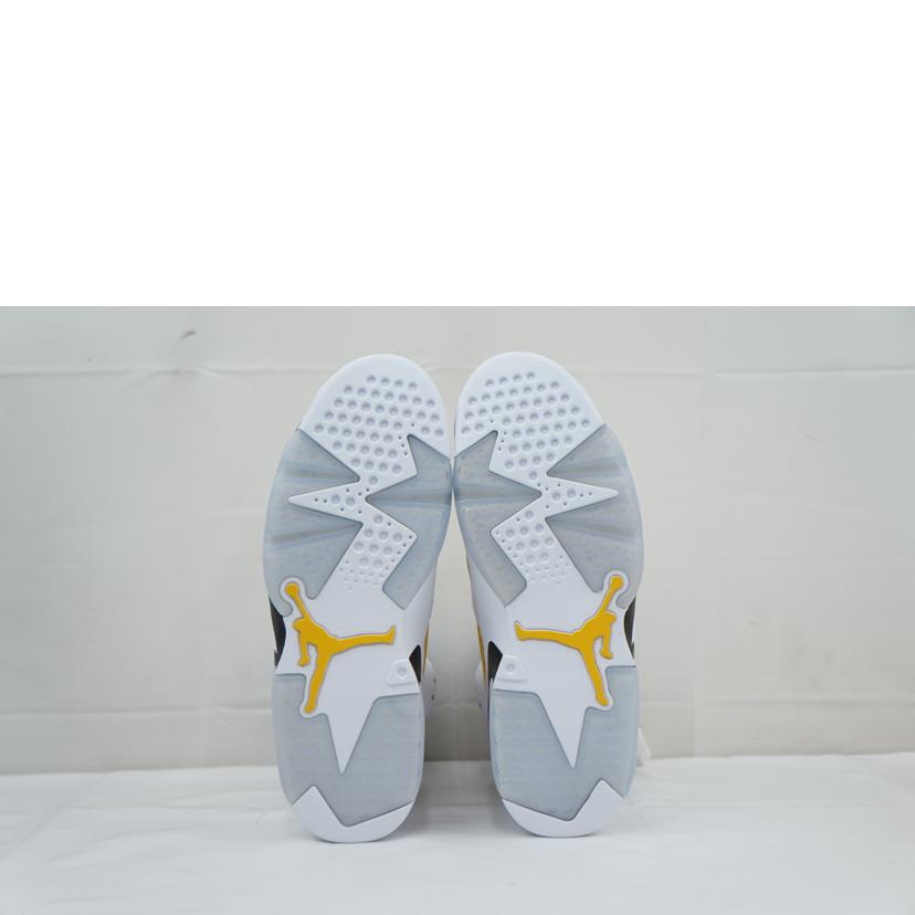 NIKE ナイキ/NIKE AIR JORDAN 6 RETRO 27.0/CT8529-170//Aランク/67