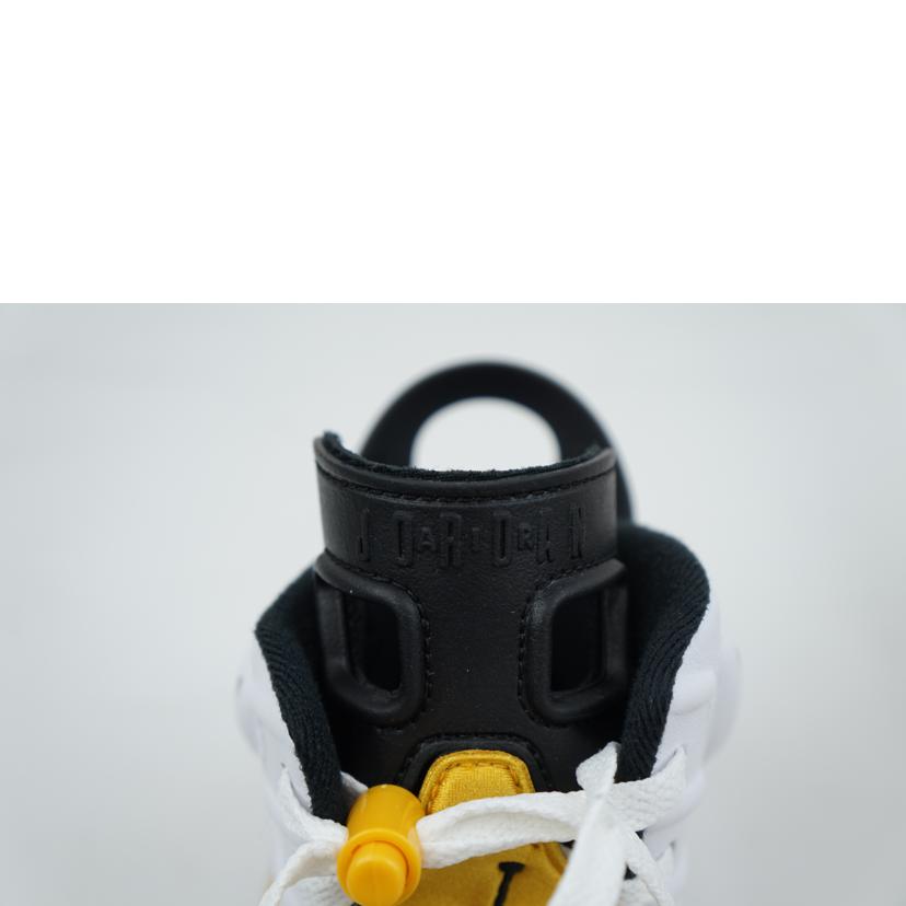 NIKE ナイキ/NIKE AIR JORDAN 6 RETRO 27.0/CT8529-170//Aランク/67
