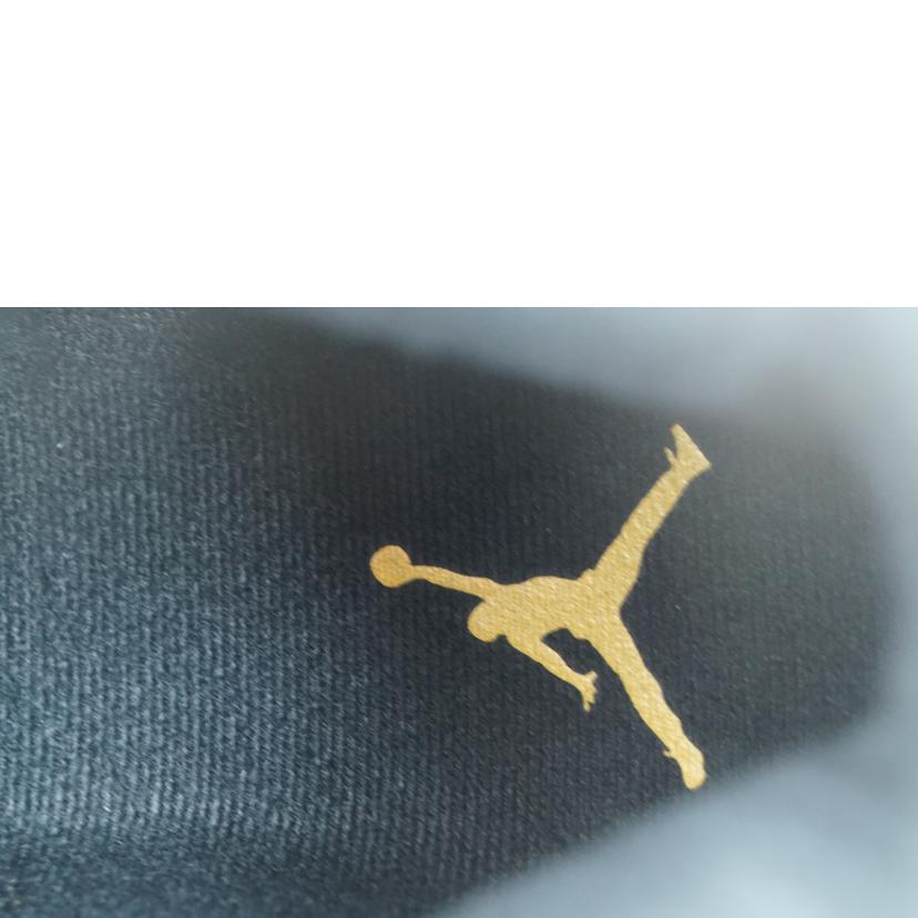 NIKE ナイキ/NIKE AIR JORDAN 6 RETRO 27.0/CT8529-170//Aランク/67