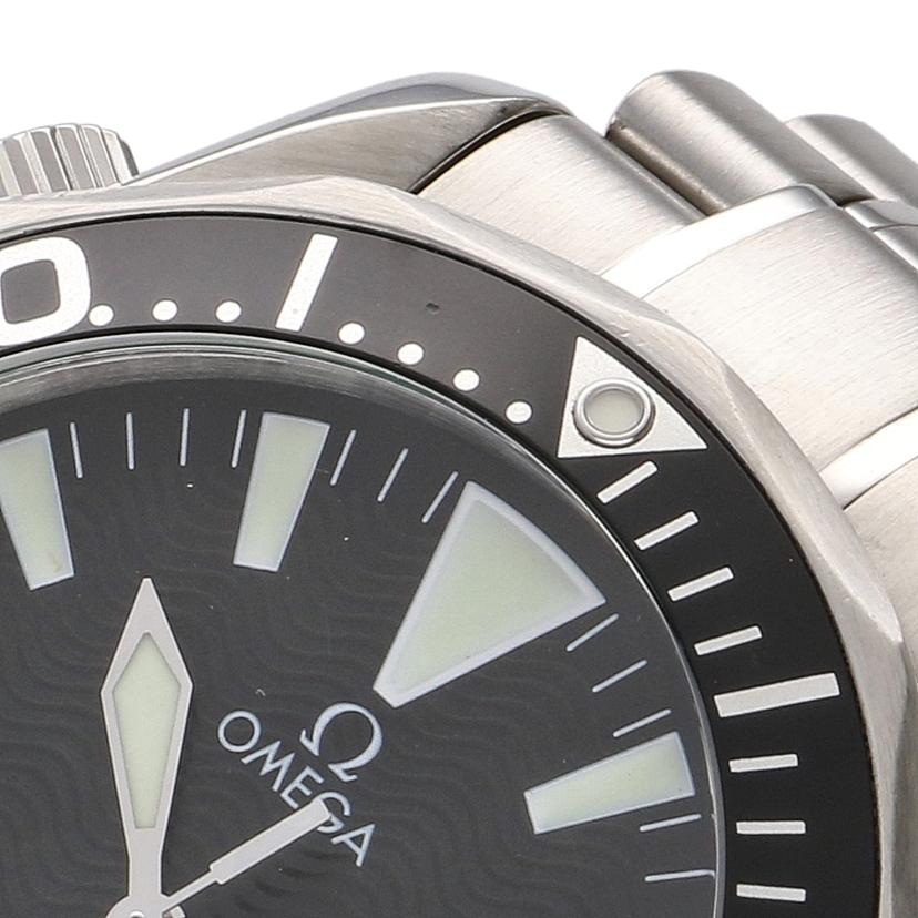OMEGA オメガ/シーマスタープロフェッショナル/ダイバーデイト/2254.50//800*****/Bランク/91