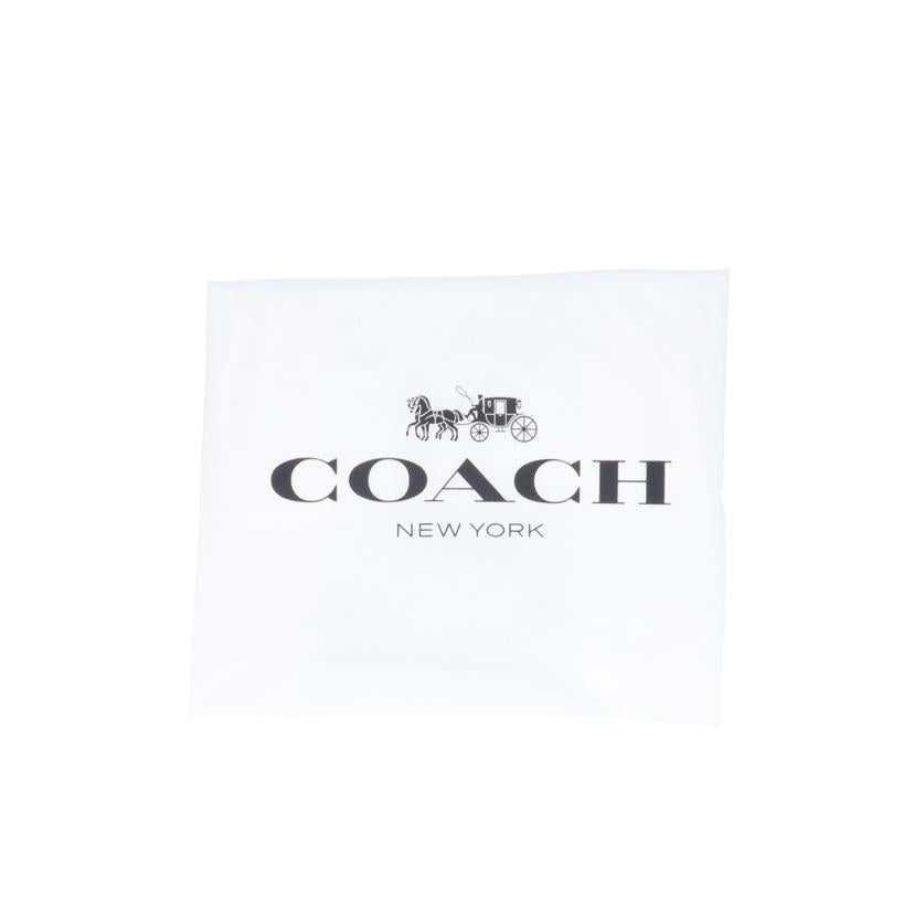 COACH コーチ/ハミルトンバッグインコーデュラ/F31277//F18**/Aランク/09