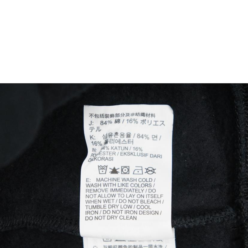 SUPREME×NIKE シュプリーム×ナイキ/24SSプルオーバーパーカー/FQ0759-010//ABランク/09