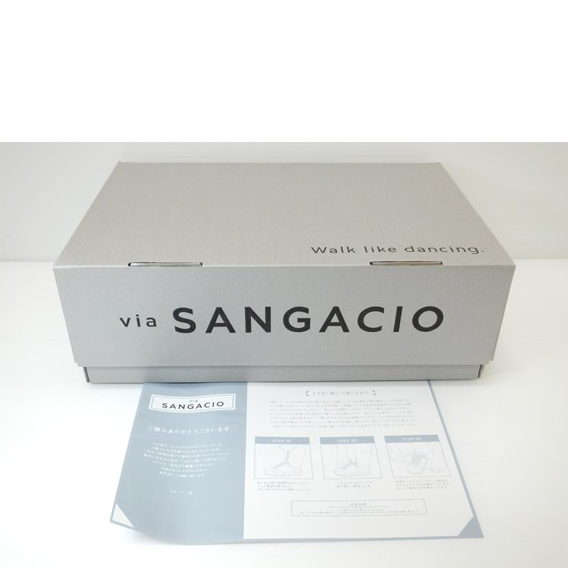 SANGACIO サンガッチョ/10周年記念モデル/BLOW GRAY/BORDEAX//Aランク/88