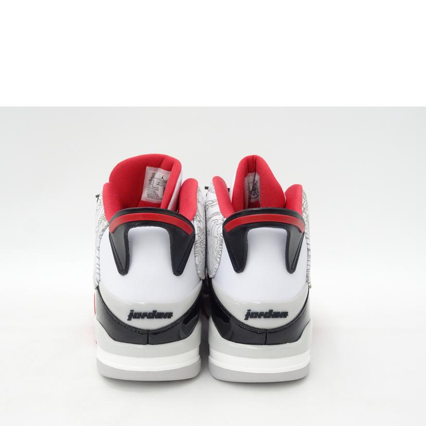 NIKE ナイキ/エアジョーダンDUBZERO/311046-160//Sランク/69