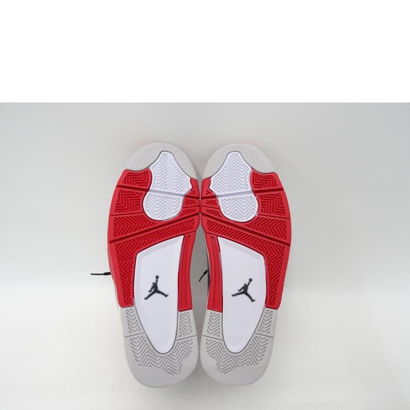 NIKE ナイキ/エアジョーダンDUBZERO/311046-160//Sランク/69