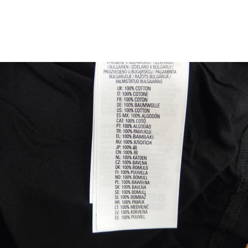 DIESEL ディーゼル/DIESELロングスリーブ/ダメージ加工/A119620ALAM//ABランク/82