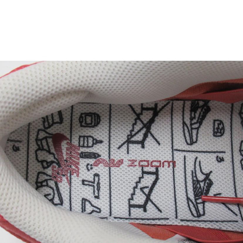 NIKE SB/DUNK LOW PRO PRM/DV5429-600//ABランク/63