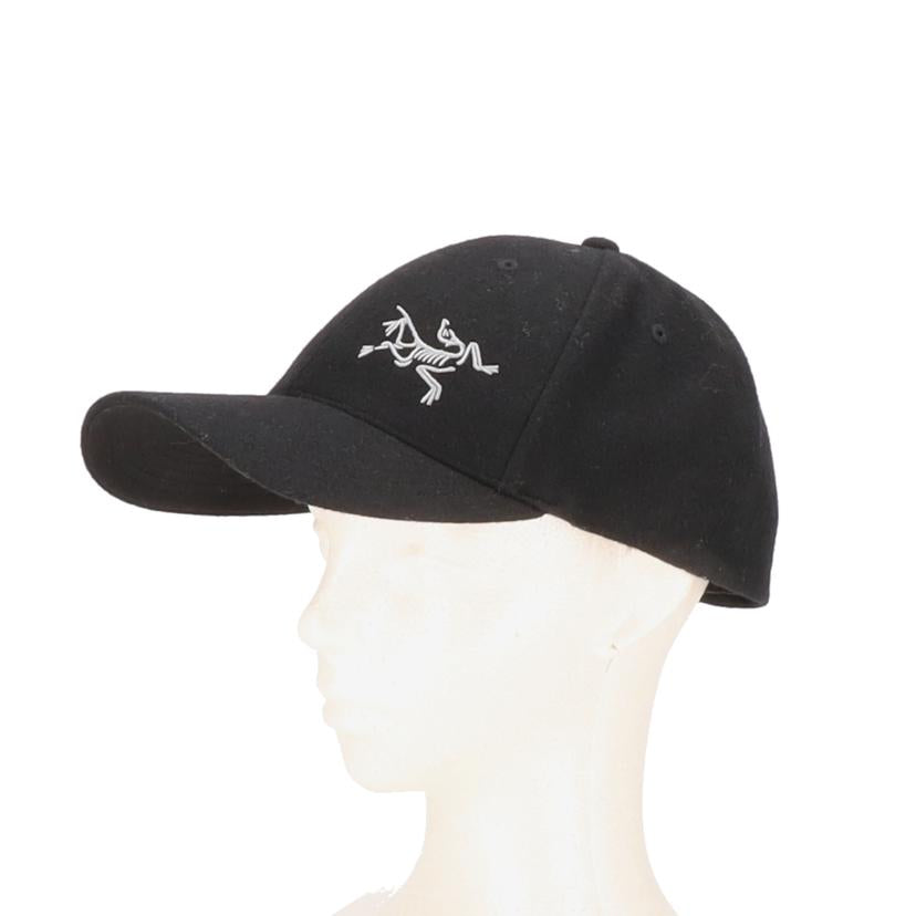 ARC＇TERYX アークテリクス/メンズファッション｜WonderREX