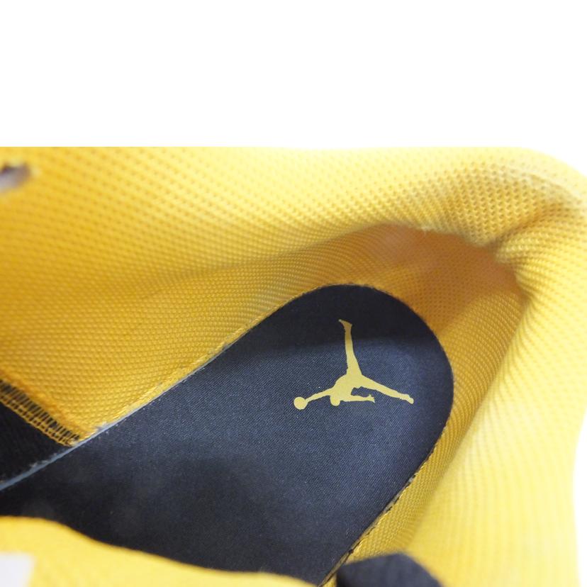 NIKE ナイキ/AIR JORDAN 1LOW/29.0/553558-075//ABランク/88