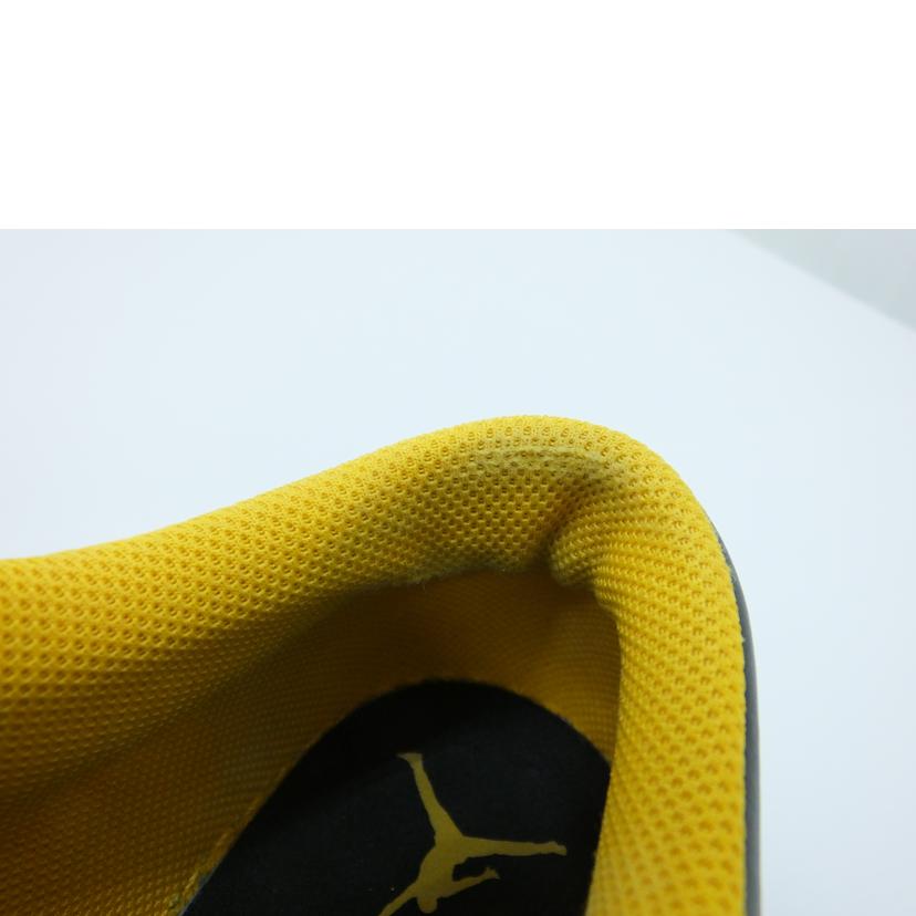 NIKE ナイキ/AIR JORDAN 1LOW/29.0/553558-075//ABランク/88