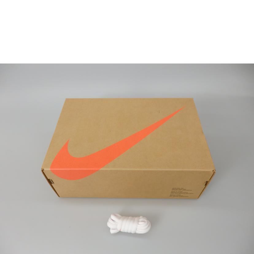 NIKE ナイキ/SB DUNK LOW PRO/FJ1674-600//Sランク/76