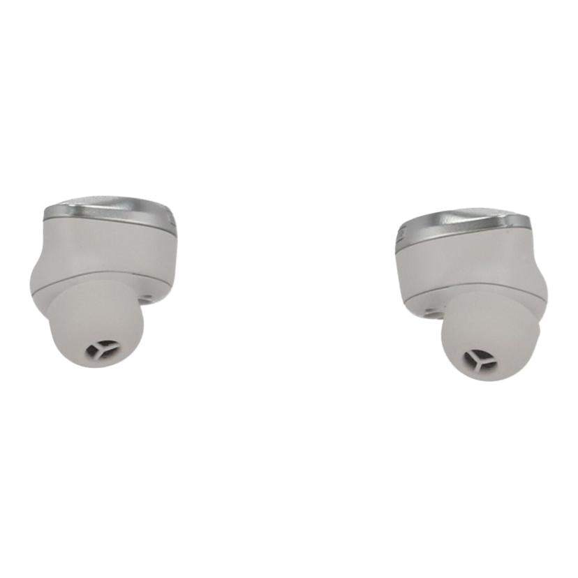 Technics テクニクス /ワイヤレスイヤホン/EAH-AZ80-S//4KCFA061911/Aランク/69