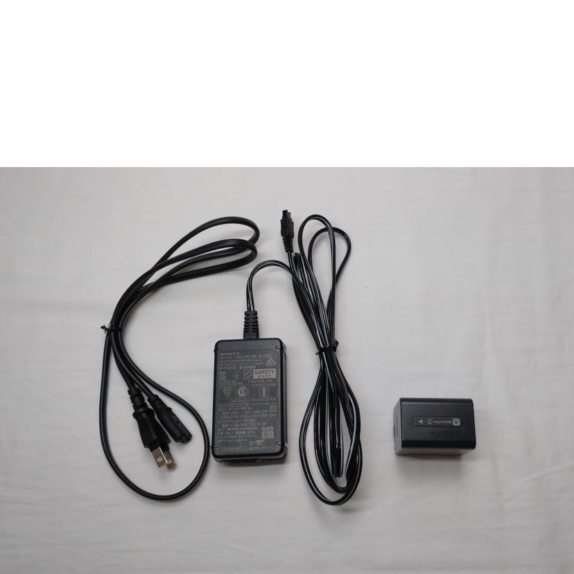 SONY ソニー/デジタル4Kビデオカメラレコーダー/FDR-AX60//3037063/Bランク/52