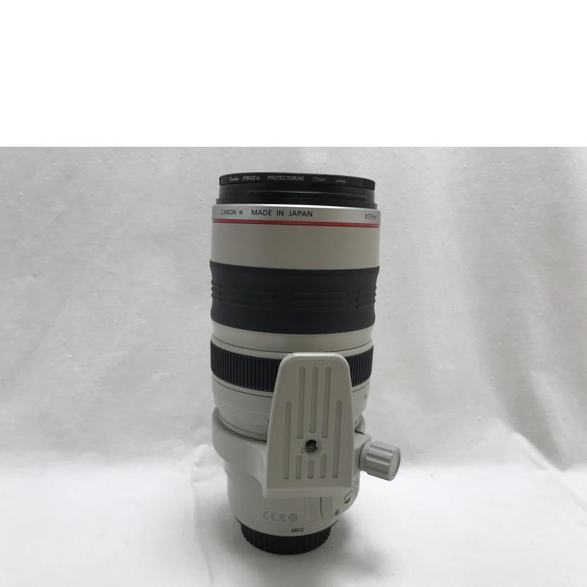 Canon キャノン/標準ズームレンズ /EF28-300mm f/3.5-5.6L IS USM//88112/ABランク/51