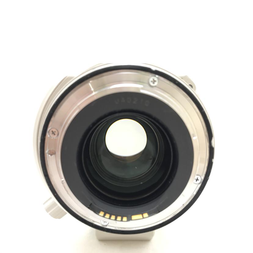 Canon キャノン/標準ズームレンズ /EF28-300mm f/3.5-5.6L IS USM//88112/ABランク/51