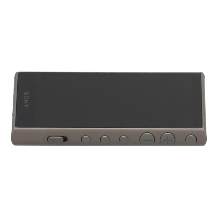 SONY ソニー/ハイレゾ対応ウォークマン 32GB/NW-A106//S015018448G/Bランク/22