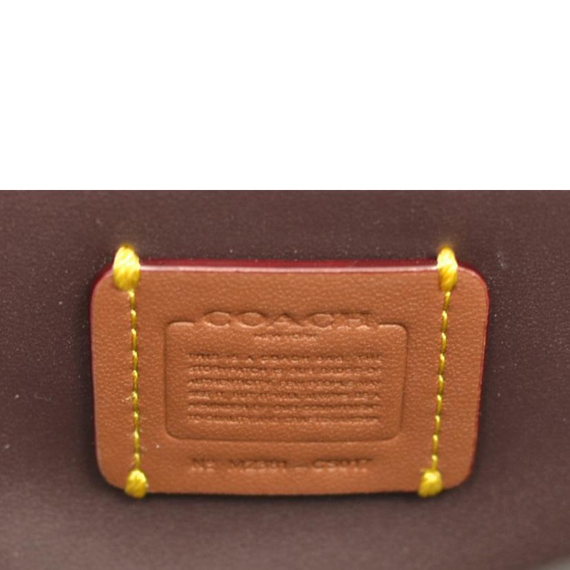 COACH コーチ/ウィン クロスボディフローラルプリント/CS017//M23**/SAランク/75