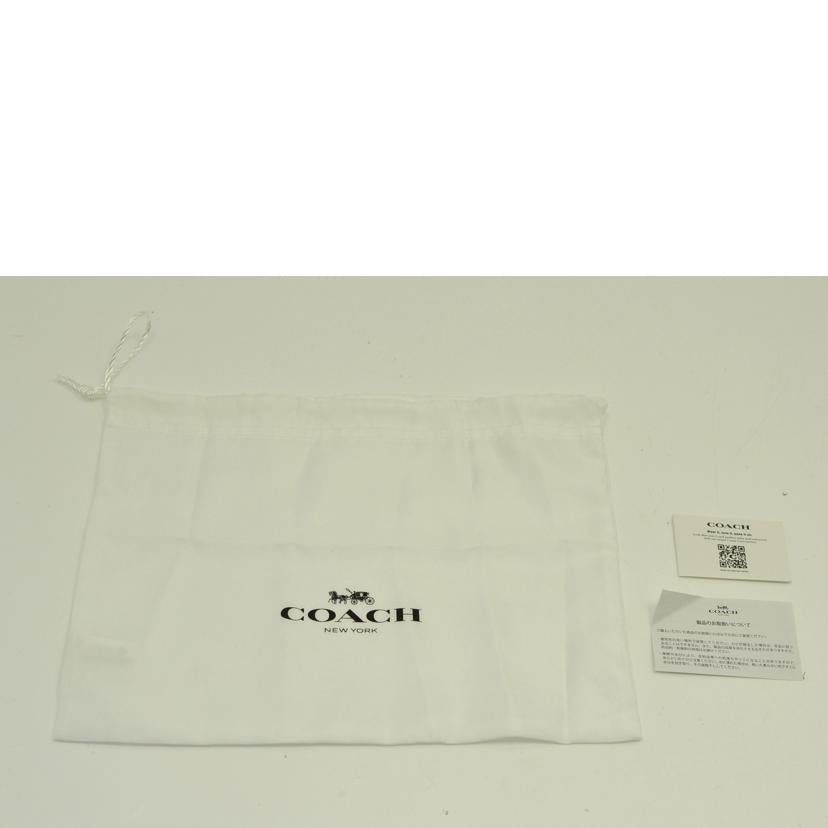 COACH コーチ/ウィン クロスボディフローラルプリント/CS017//M23**/SAランク/75