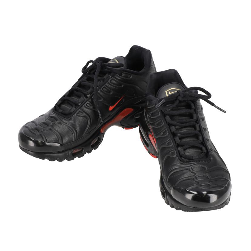 NIKE ナイキ/AIR MAX PLUS PRM Premium/FZ3038-001//Aランク/09