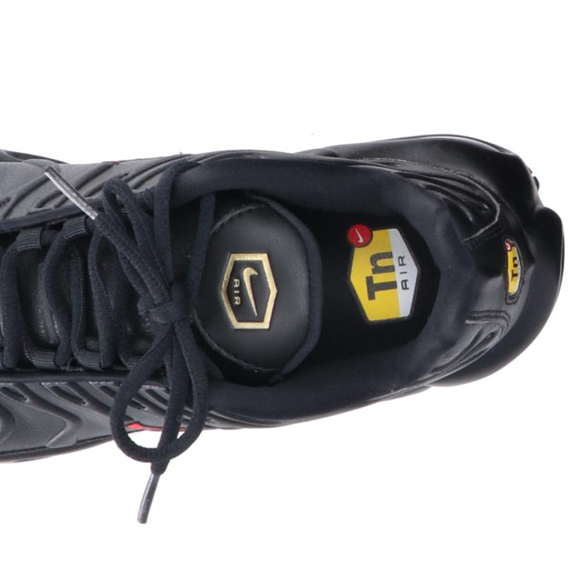 NIKE ナイキ/AIR MAX PLUS PRM Premium/FZ3038-001//Aランク/09