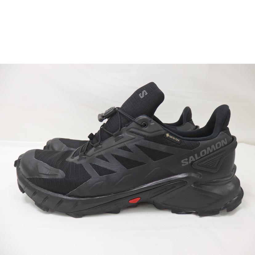 SALOMON サロモン/SALOMON スニーカー/29.0cm/417316//BCランク/84