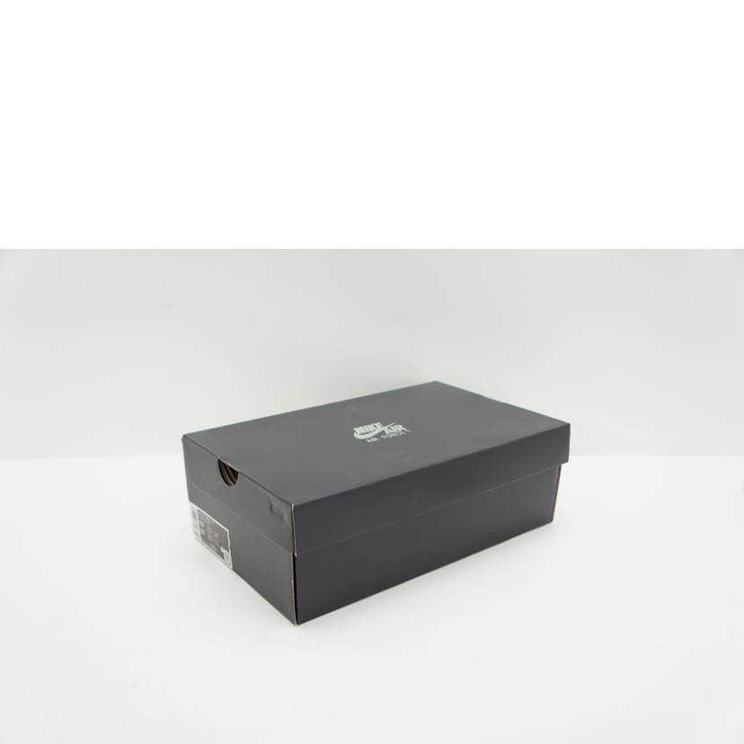 NIKE ナイキ/AIR FORCE 1 ’07 LOW/IB7676-001//Aランク/21