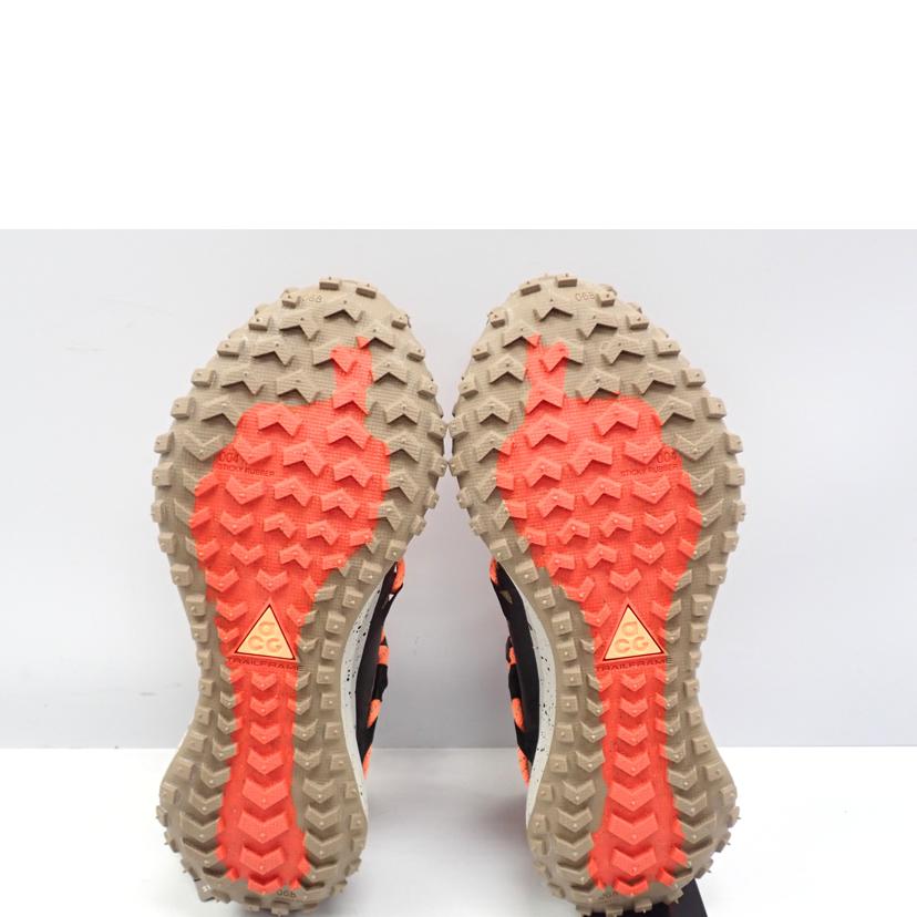 NIKE ナイキ/NIKE AGG MOUN TAIN FLY LOW GTX FLY/DD2861-200//24.5cm/Bランク/62