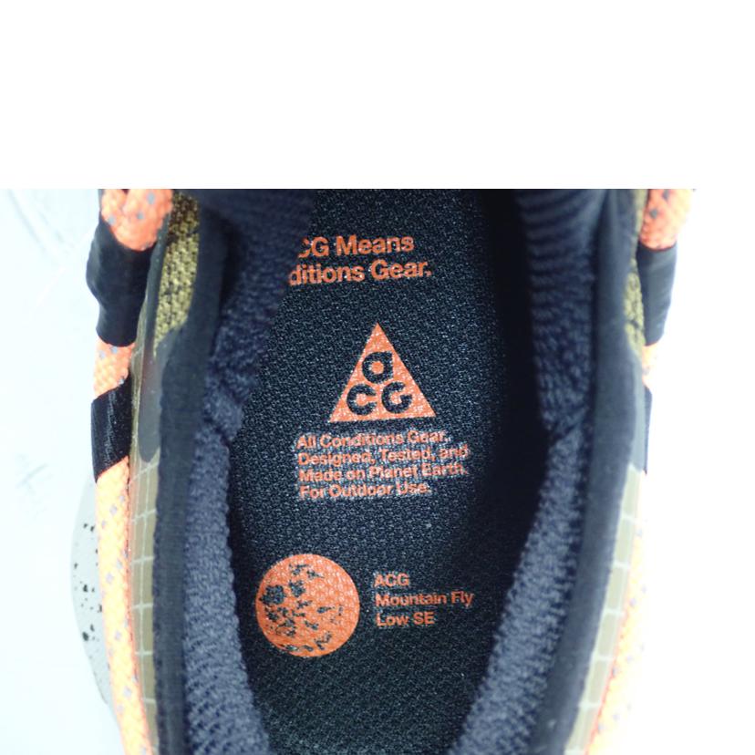 NIKE ナイキ/NIKE AGG MOUN TAIN FLY LOW GTX FLY/DD2861-200//24.5cm/Bランク/62