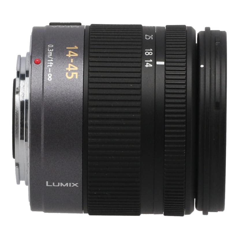 PANASONIC パナソニック/交換レンズ/H-FS014045//BR8LB015029/Bランク/82
